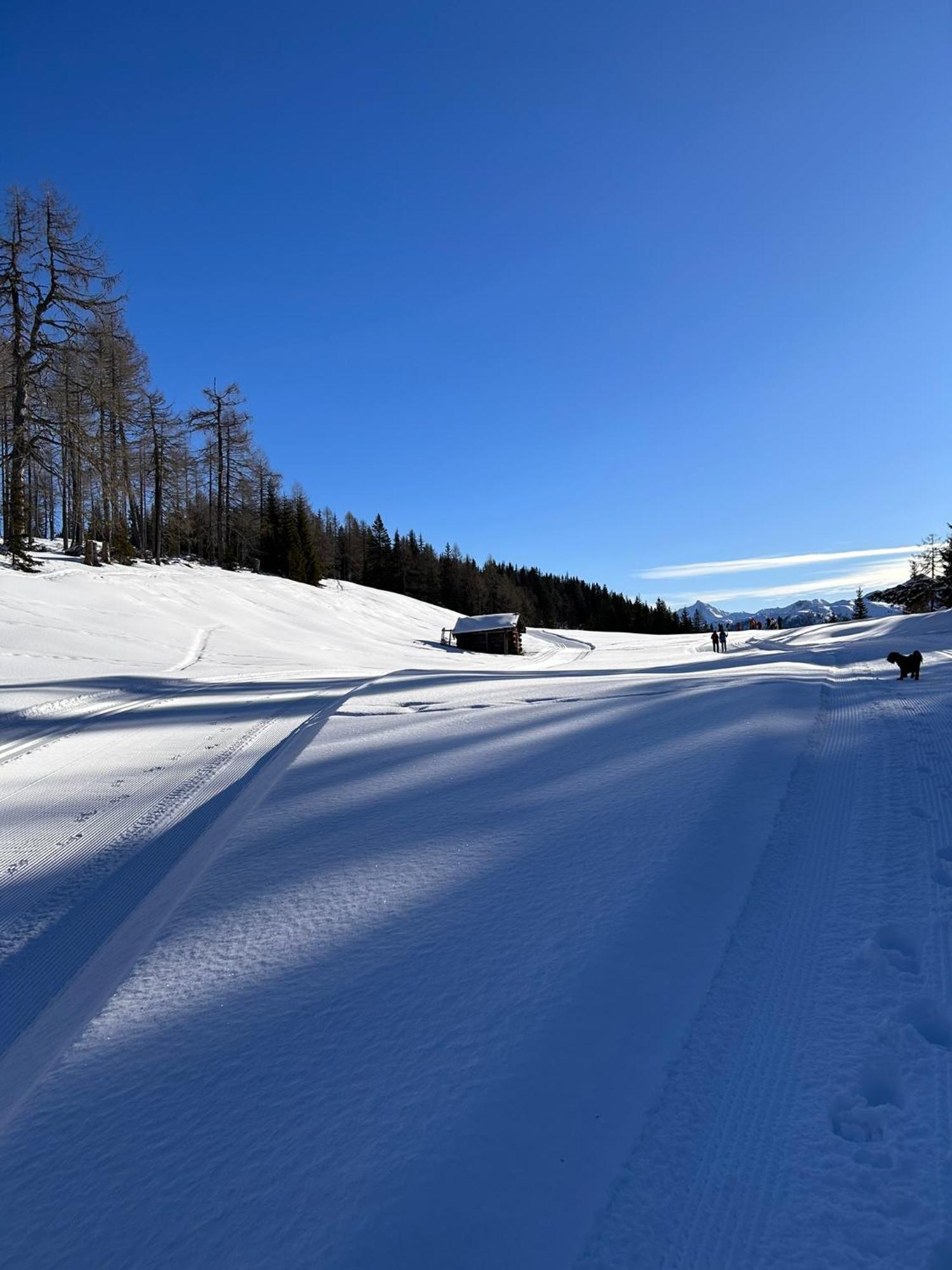 Appartementhaus Bergkristall Kartitsch Buitenkant foto